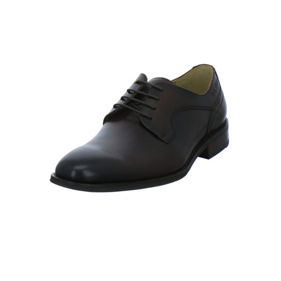 Carl Gross Sneaker Herren CH Ulf Dunkelbraun