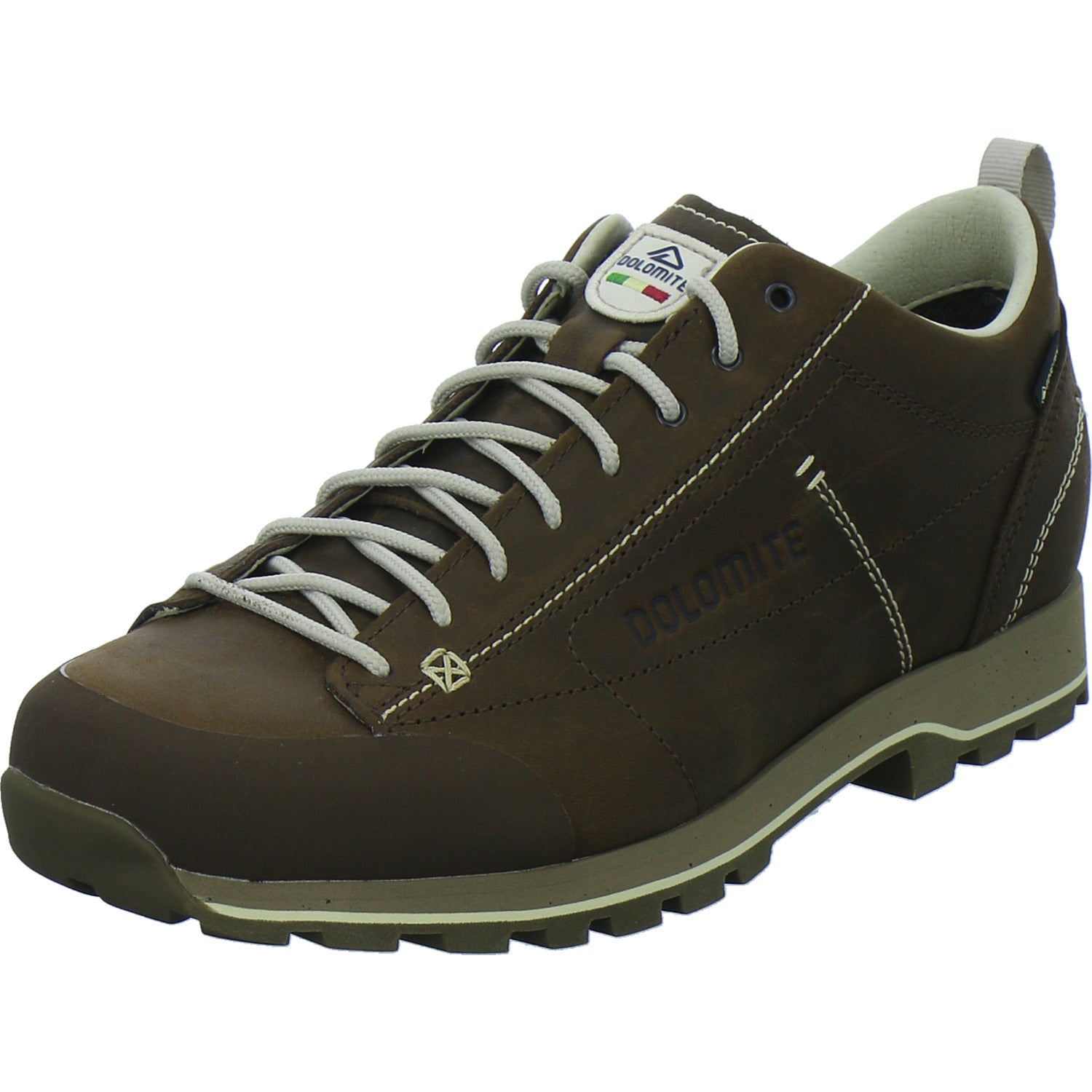 Dolomite Sneaker Herren 54 Low FG Evo GTX Dunkelbraun