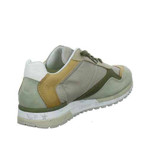 Cetti Schnürhalbschuhe Beige-kombi - 360° Ansicht