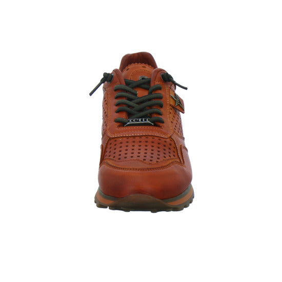 Cetti Sneaker Herren Orange
