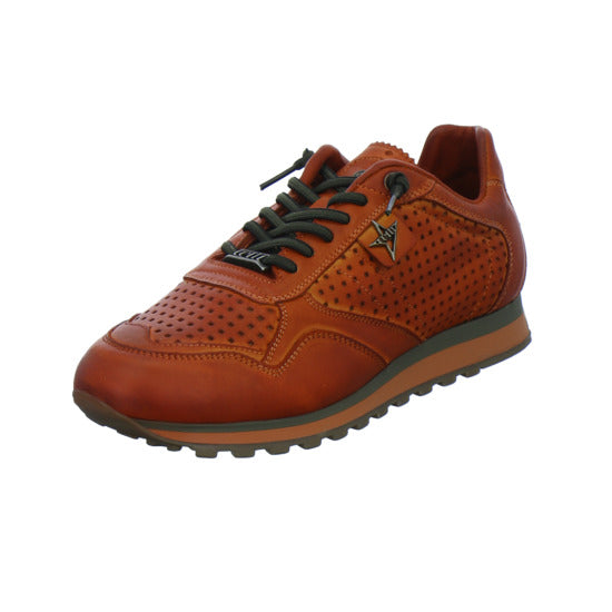 Cetti Sneaker Herren Orange