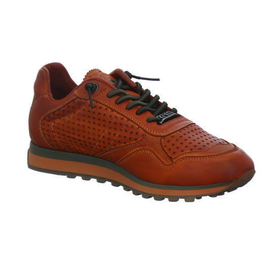 Cetti Sneaker Herren Orange