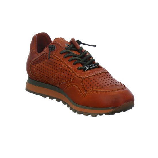 Cetti Sneaker Herren Orange