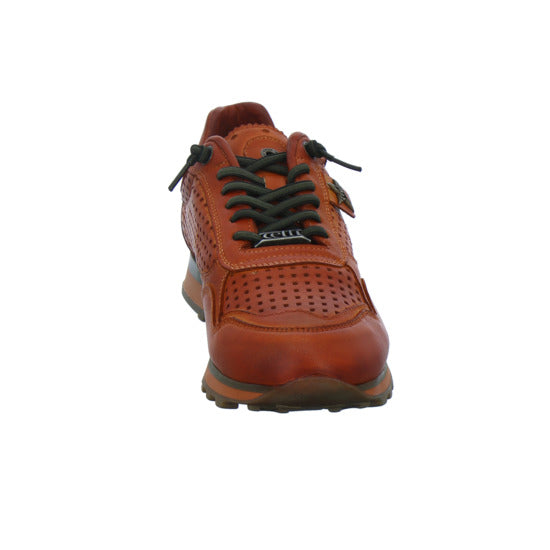 Cetti Sneaker Herren Orange