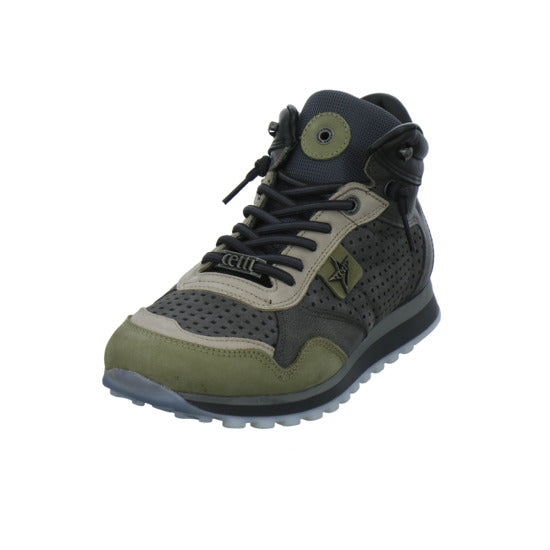 Cetti Stiefel taupe - 360° Ansicht