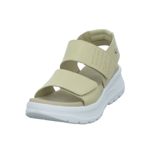 Panama Jack Sandaletten Beige - 360° Ansicht