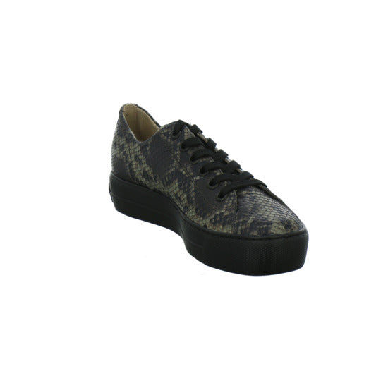 Paul Green Schnürhalbschuhe animal