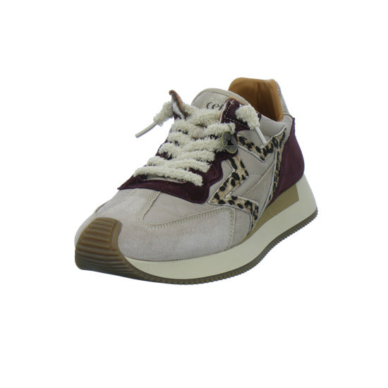 Cetti Sneaker Damen Beige-kombi
