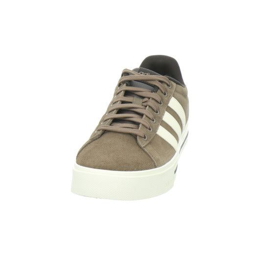 ADIDAS Turnschuhe Herren DAILY Dunkelbraun