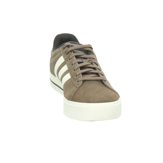 ADIDAS Turnschuhe Herren DAILY Dunkelbraun