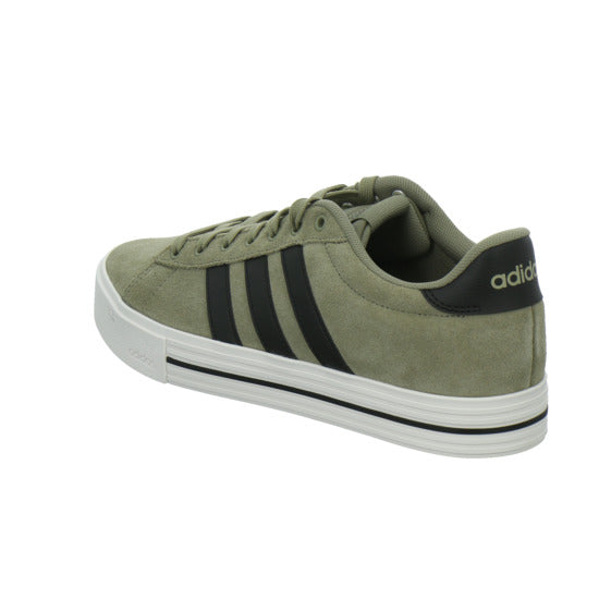 ADIDAS Turnschuhe Herren DAILY taupe