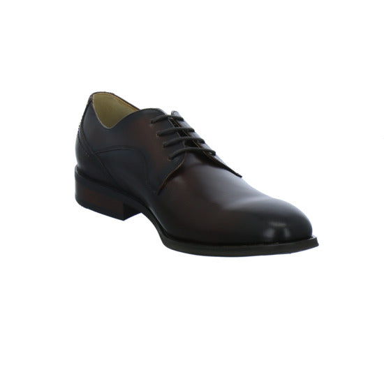 Carl Gross Sneaker Herren CH Ulf Dunkelbraun