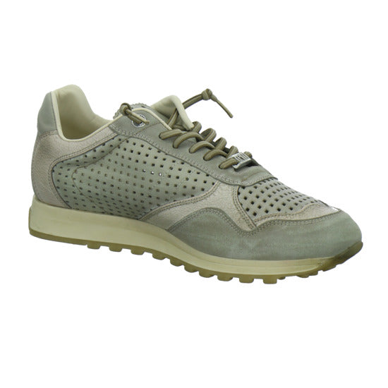 Cetti Sneaker Herren taupe