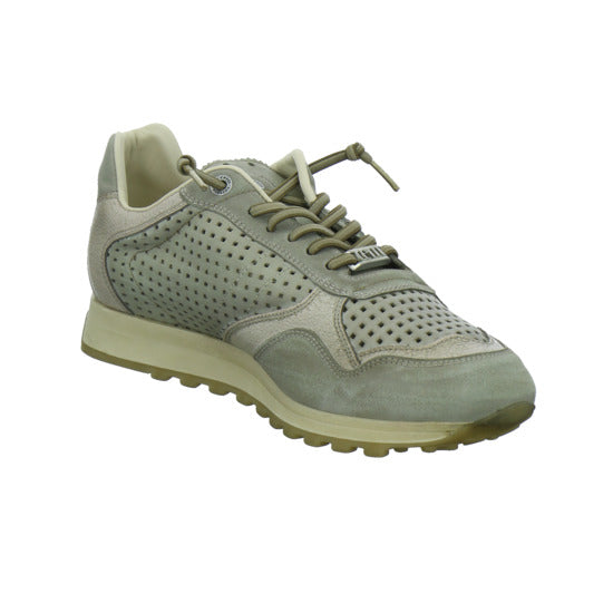 Cetti Sneaker Herren taupe