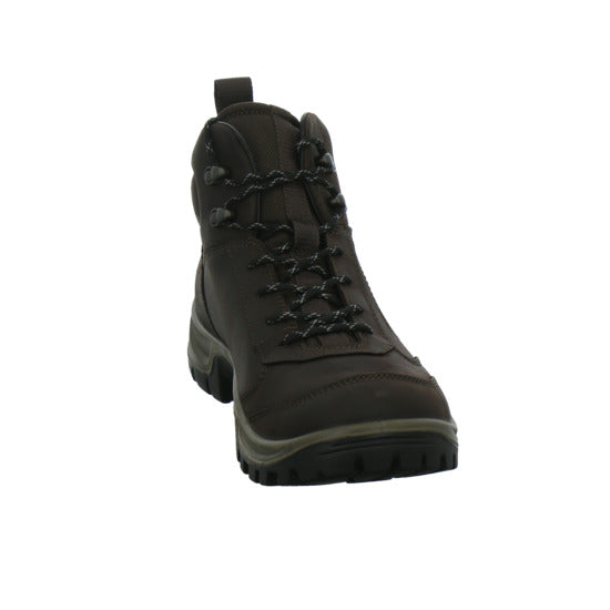 Ecco Stiefel Herren Xpedition Dunkelbraun