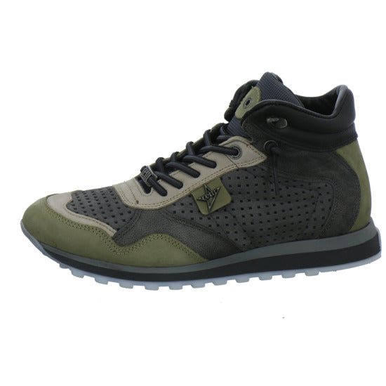 Cetti Stiefel taupe - 360° Ansicht