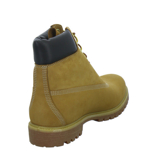 Timberland Stiefel Herren Premium 6 Inch Ocker
