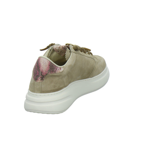 Cetti Schnürhalbschuhe taupe