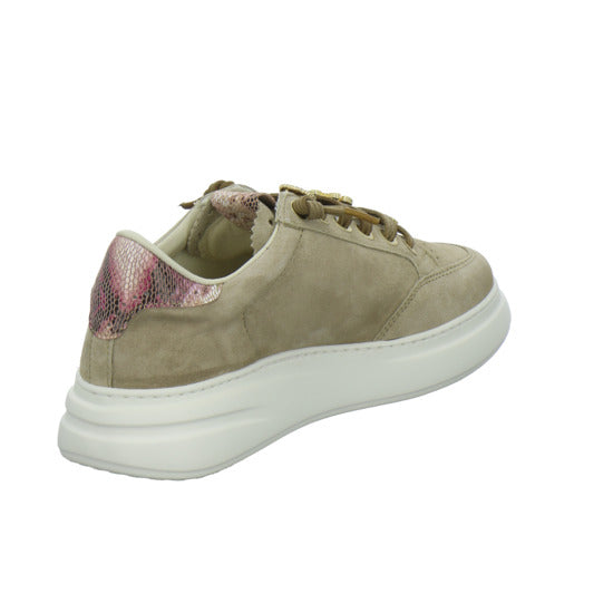 Cetti Schnürhalbschuhe taupe