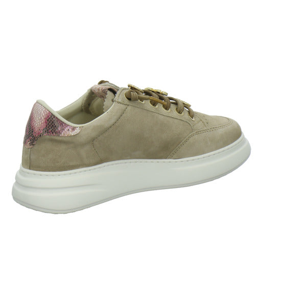 Cetti Schnürhalbschuhe taupe