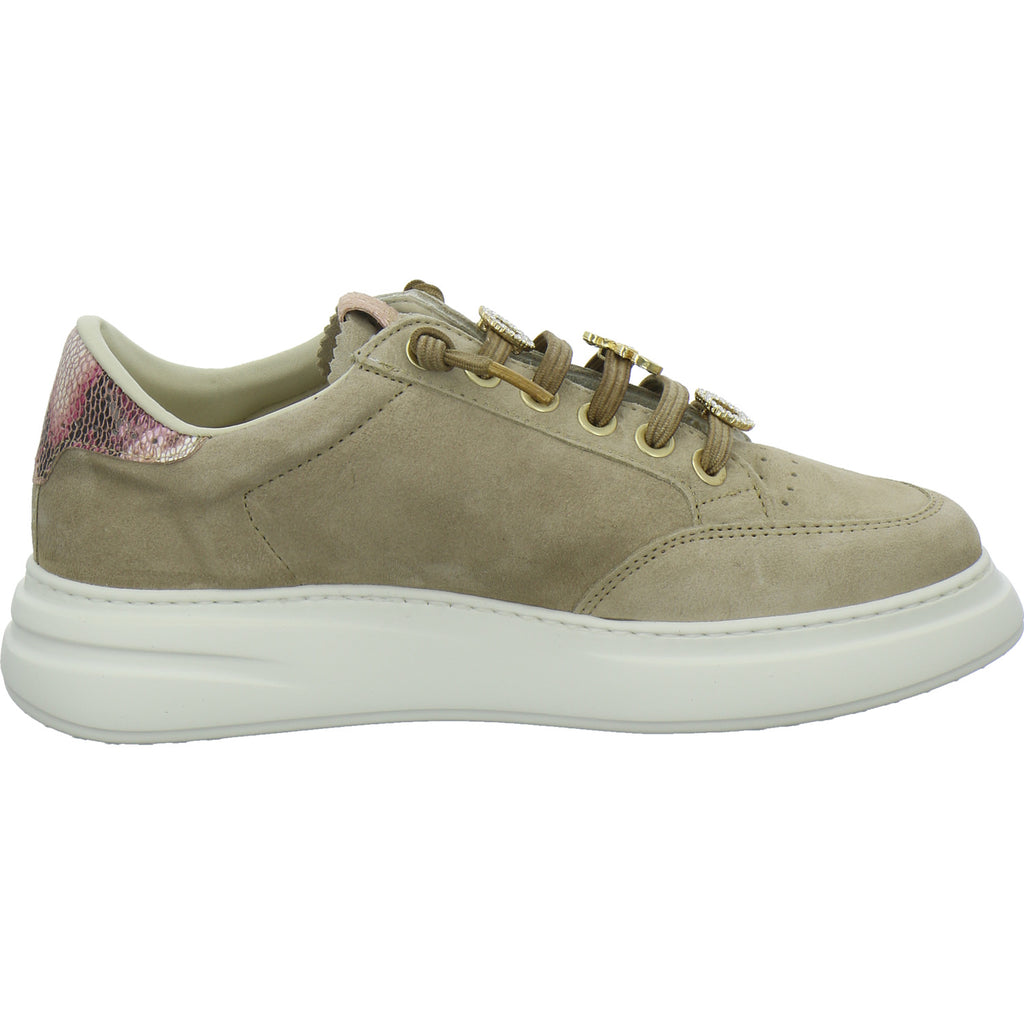 Cetti Schnürhalbschuhe taupe
