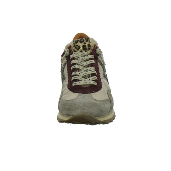 Cetti Schnürhalbschuhe Beige-kombi