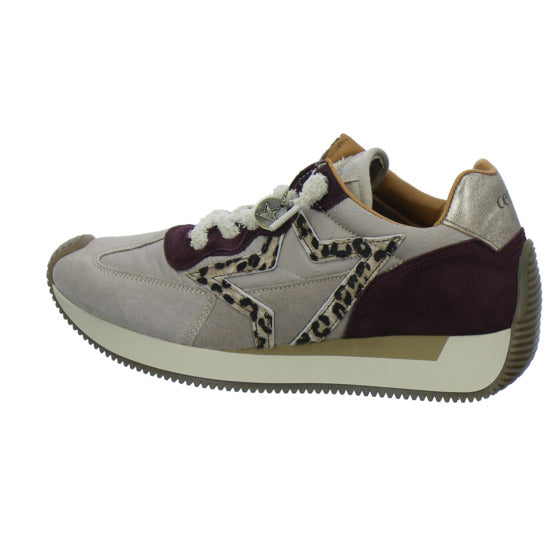 Cetti Sneaker Damen Beige-kombi