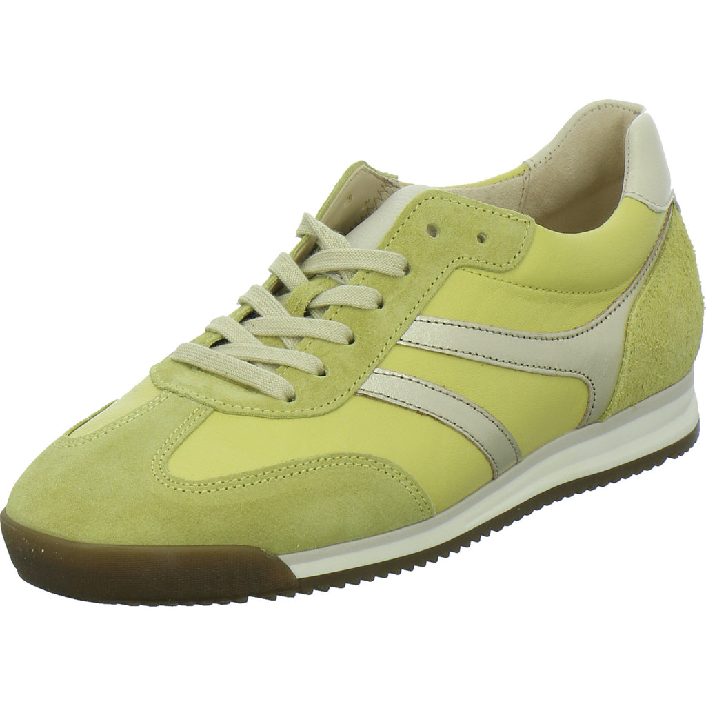 Gabor Sneaker Damen Gelb