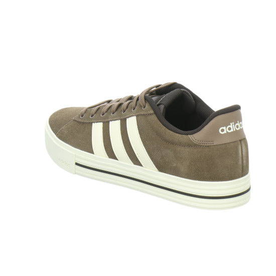 ADIDAS Turnschuhe Herren DAILY Dunkelbraun