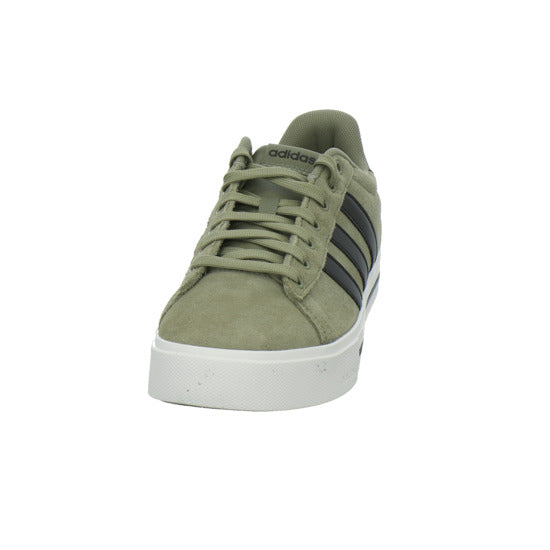 ADIDAS Turnschuhe Herren DAILY taupe